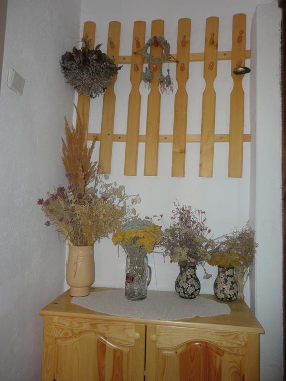 Guest House Astra 阿巴纳西 外观 照片
